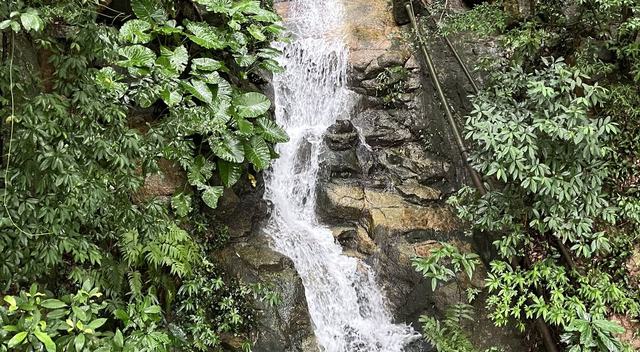 Cascading water
