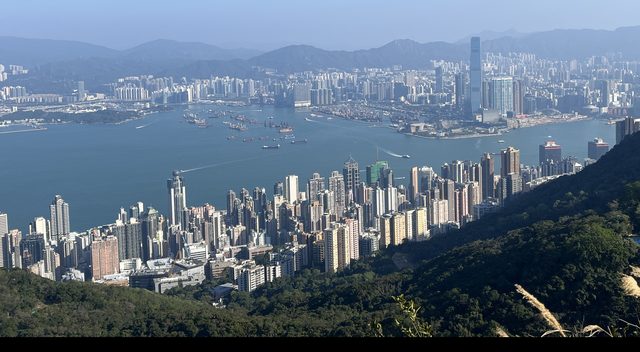 Hong Kong harbour from the hills above